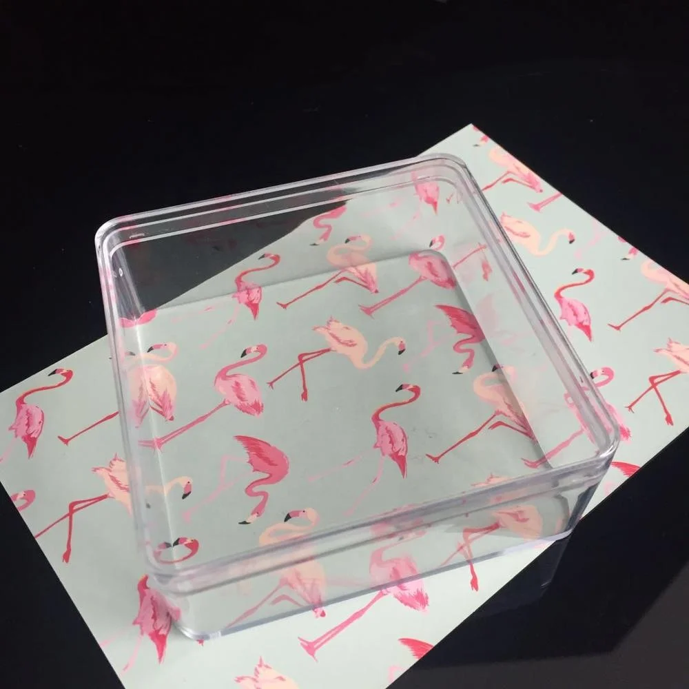 Beautiful Transparent Sweet Packing Plastic Box for Chocolate