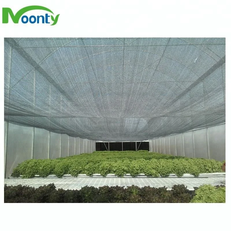 Greenhouse Soilless Planting DFT Hydroponics Growing System Aquaponics Farm