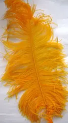 China Wholesale 60-65 cm Large Ostrich Plumes feather for  for wedding centerpiece decoration