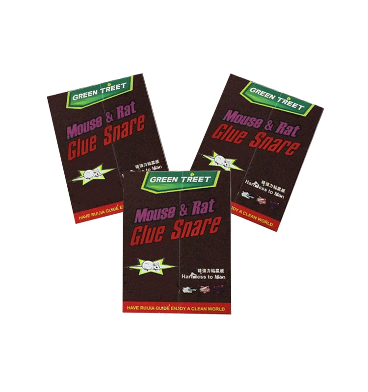 Wholesale Animal Traps Bedbug Killer Eco-Friendly Feature Mouse Trap Rat Mouse Glue Traps