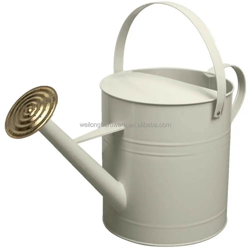 Garden Colour Galvanised Metal Steel Watering Can 9 Litre with Brass Rose
