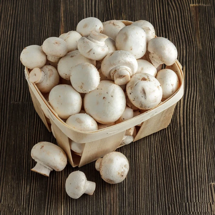 Гриб SO2 в барабане