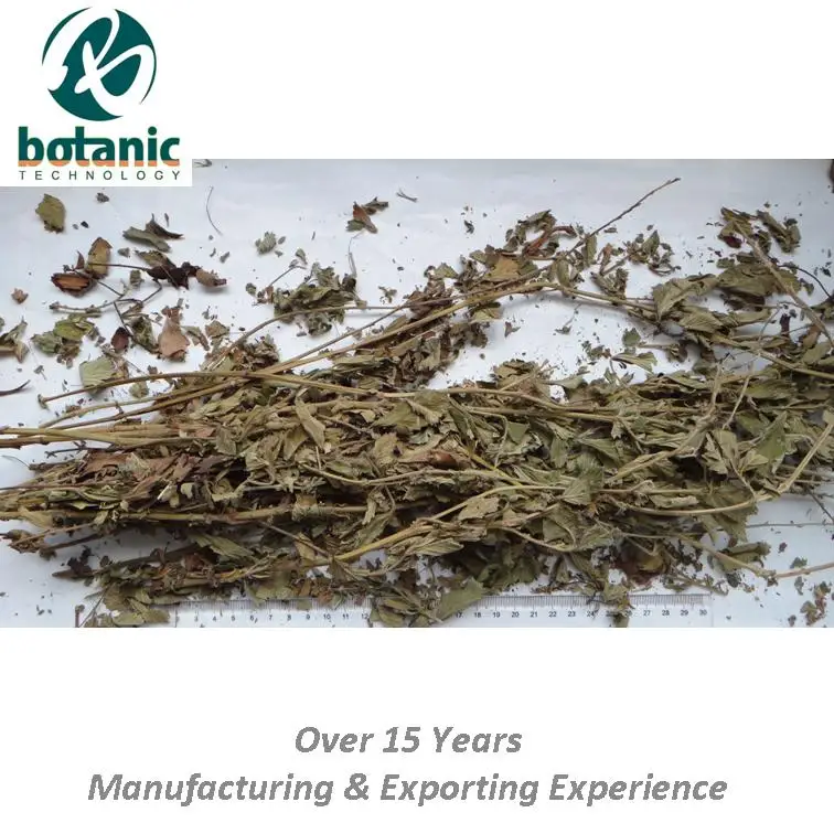 
Dried Herba agrimoniae Hairyvein agrimonia pilosa Hairy agrimony Astringent Stomach cancer medicine Xian he cao 