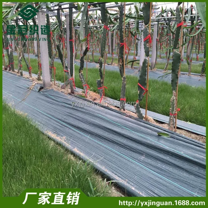 Weed control mat woven PP Ground Cover silt fence fabric mulch film polypropylene woven weed mat