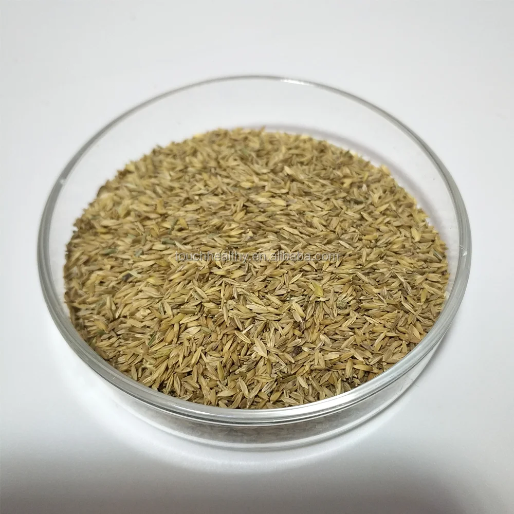 
2021 Touchhealthy Supply Poa annua L seeds/Bluegrass seeds/Lawn seeds 