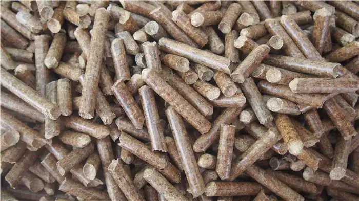 Wood Biomass Equipment Biomass Complete Ring Die Biomass Vertical Ring Die Pellet Mill Machine Line