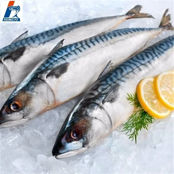 Frozen Pacific Mackerel fish whole round seafrozen BQF 150-200g for market