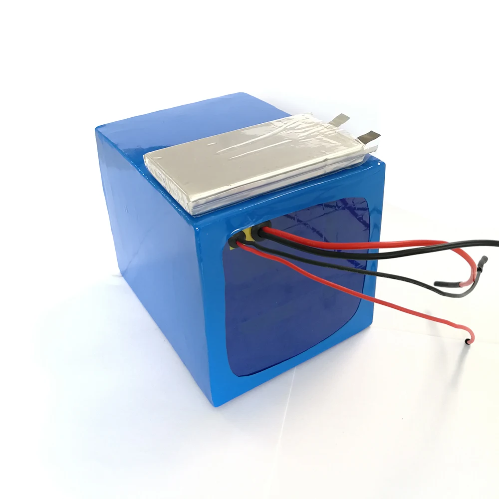 
Electric Bike Battery Rechargeable Lifepo4 48V 25Ah for Tricycle Scooter batteyr with BMS Charger 
