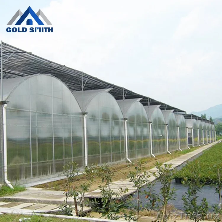 Multi Span Agricultural Film Greenhouse Using Hot Galvanized Steel Structure Frame