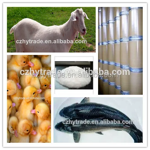 Animal feed rate betaine hydrochloride (hcl) 98% in India