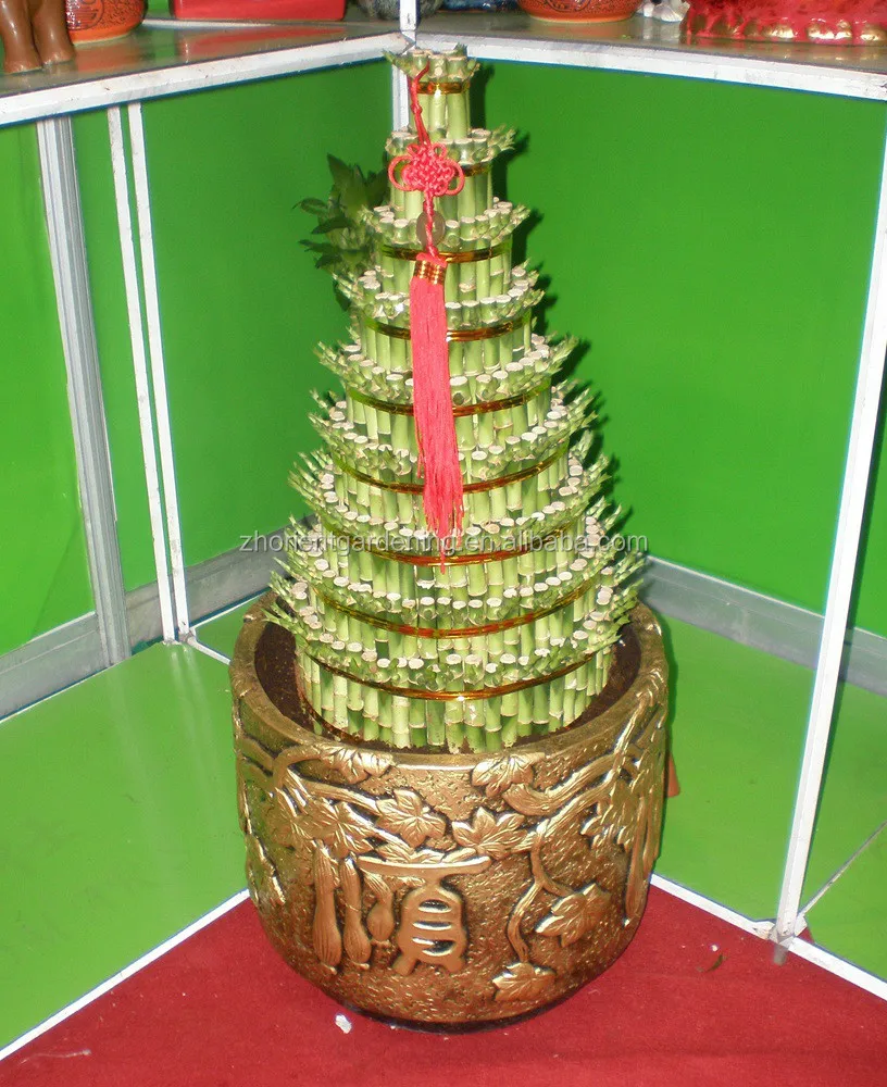 Многослойная башня, бамбуковое дерево бонсай на удачу, драцена, сандерия, декоративные водные растения в помещении, украшение для сада