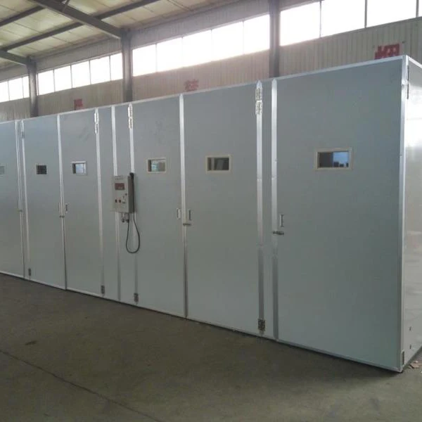 
Big Farm poultry chicken egg incubator 