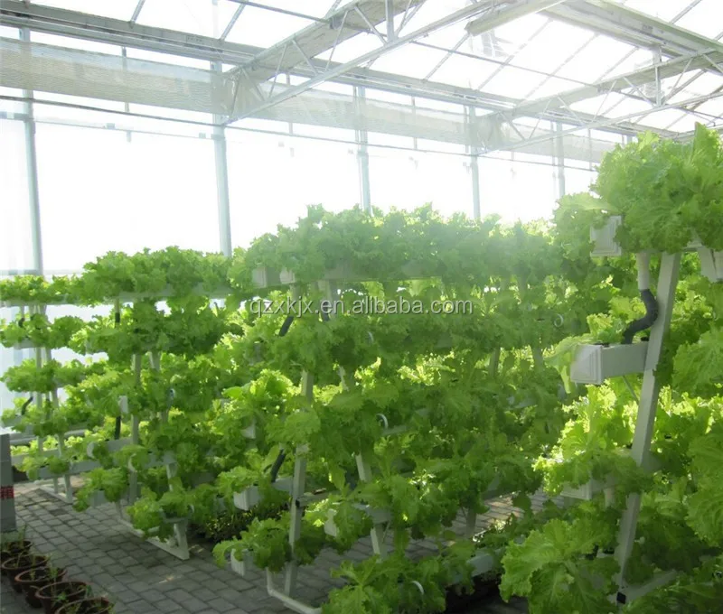 hydroponic container intelligent Hydroponic Growing Systems Greenhouse vertical hydroponic system on hot sale