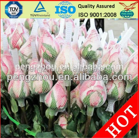 
High quality rose bud protective packaging netting / flowers protection net (factory & export) 