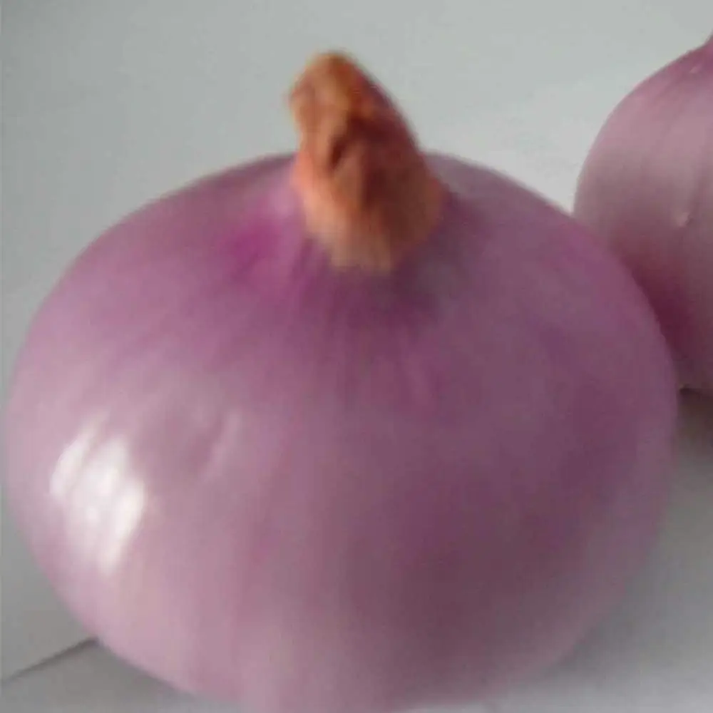 Дешевый урожай лука 2021 по низкой цене