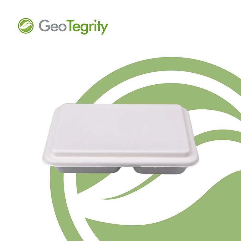 
Rectangle Four Compartment Kids Trays Food Trays With Lid School Trays 