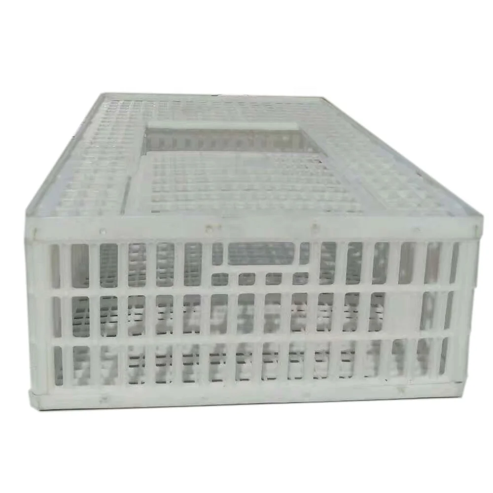 Chicken crate with lid (2)