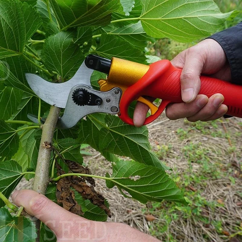 Sum-sung battery powered electric pruning shears, telescopic long reach pruner