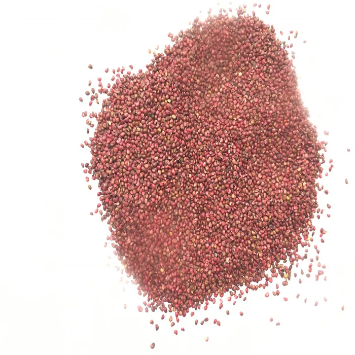 
Garden indoesnisa red hybrid cute F1 black strawberry fruit seeds for sale in bulk 10gr/bag 