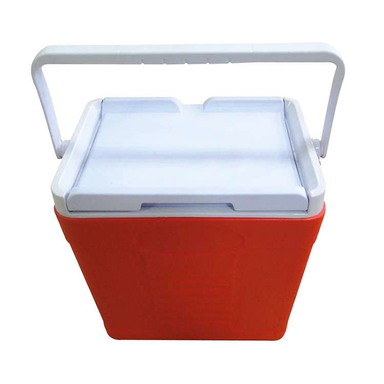 Portable cooler box with handle for camping, picnic, outdoor Ice chest