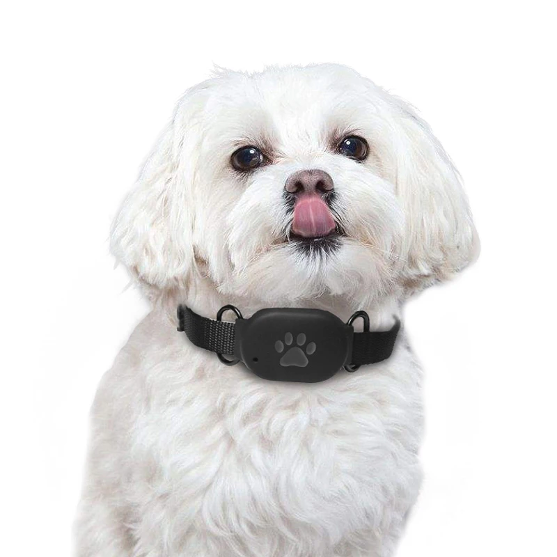 Protect Real Time Historical Route Playback Tracker Pet GPS Tracking Locator Collar Anti Lost for dog pet