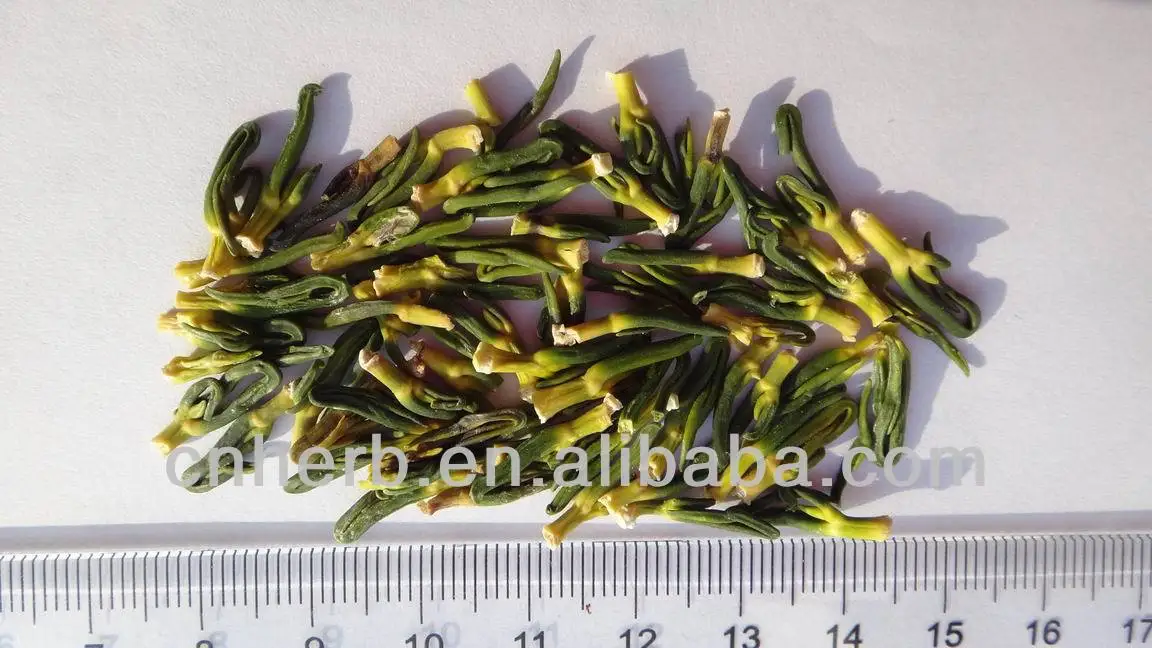 
Dried Hindu lotus plumule Plumula Nelumbinis Nelumbo nucifera Gaertn Lian xin Lianxin Medicine 