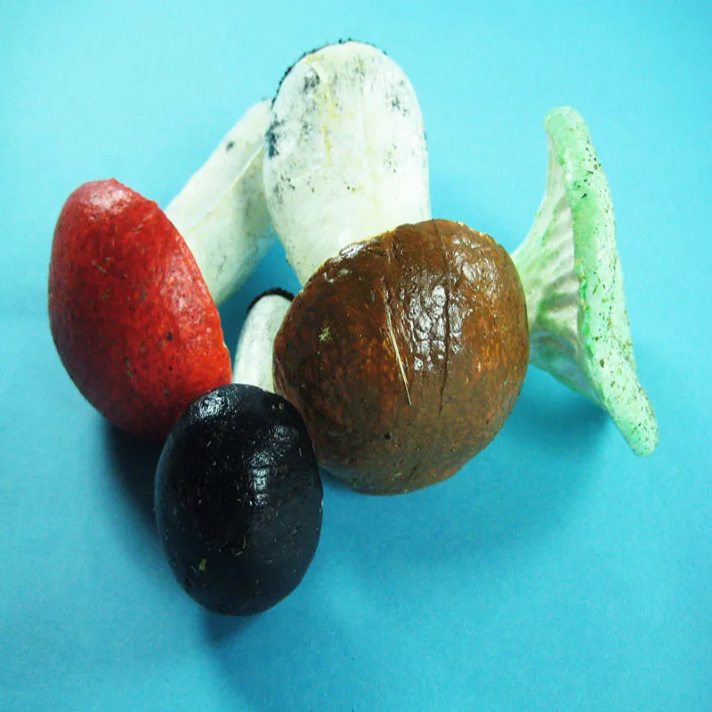 
High Quality Low Price Mushroom Models Set 