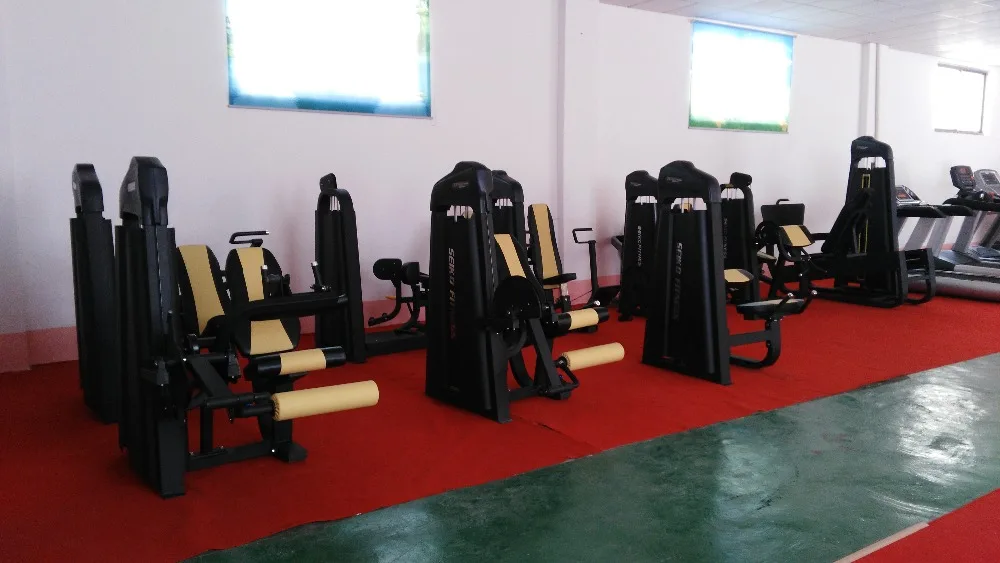 gym fitness equipment back extension bench