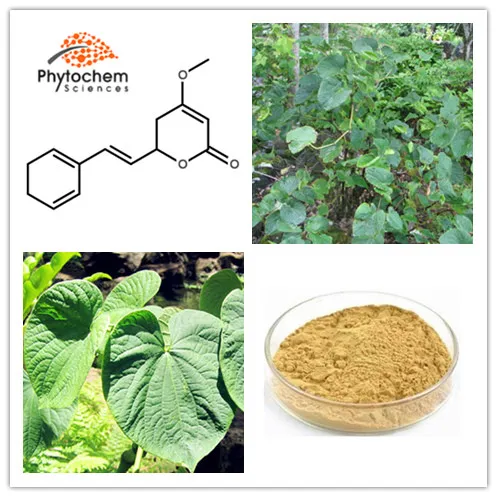 wholesale herbal extract from kava root reducing stress kava extract powder