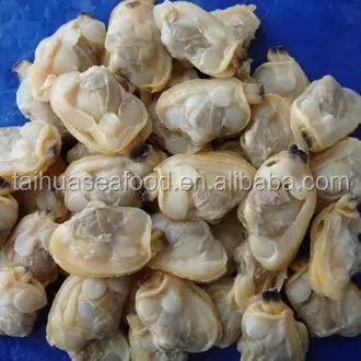 Замороженные вареные свежий и хорошего качества мясо Клам в летний сезон