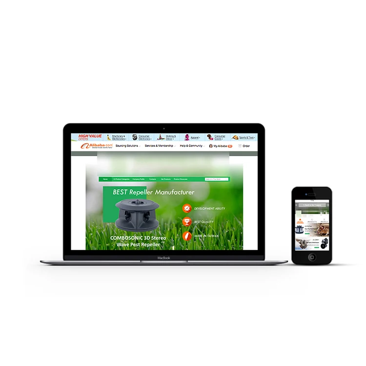 
Alibaba Mini Site Web Page Designing 