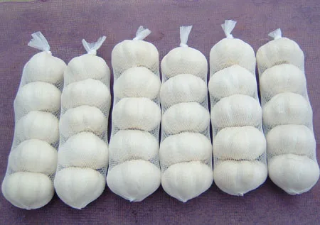 Well-chosen top quality dehydrated pure white garlic in carton