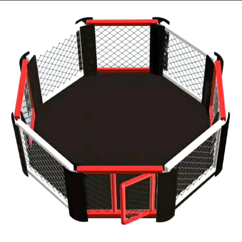 MMA international competition octagonal cage professional boxing ring