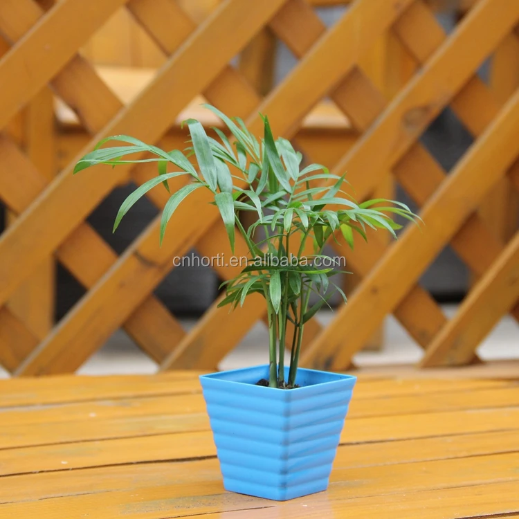 various size outdoor large plastic plant pots colorful plastic flower pots