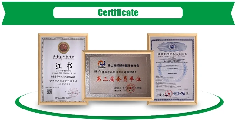 paste-pic-dp_uuid_wrzg6