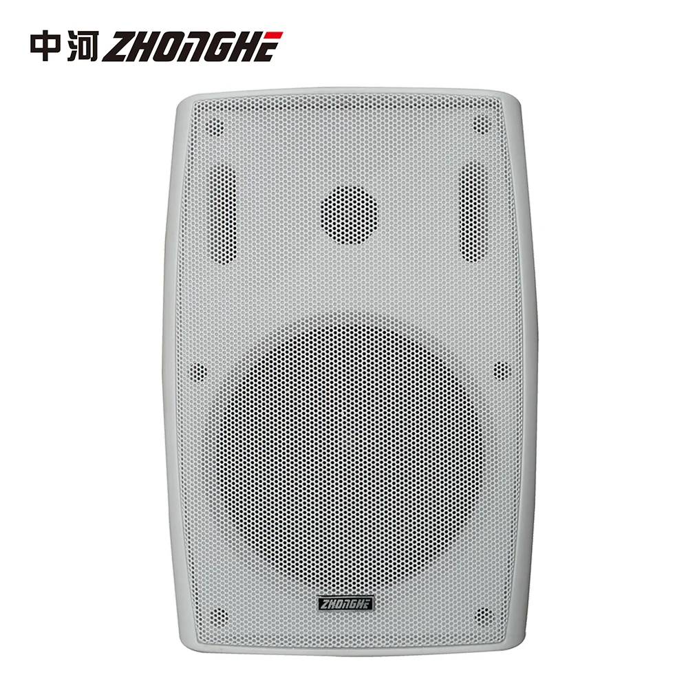 Настенный динамик системы высокого качества FT-204