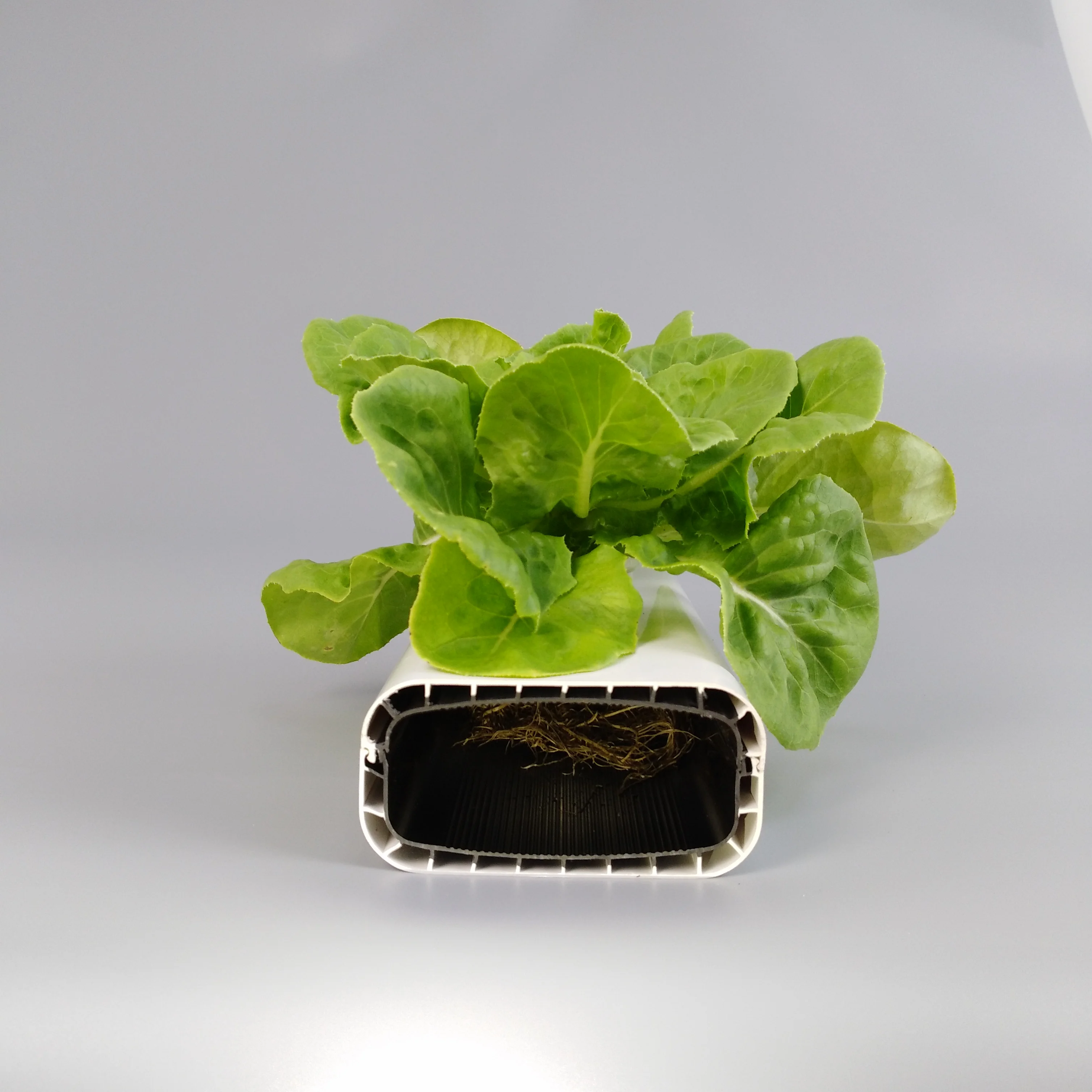 
100*50mm Inner Black Outer White Channel Greenhouse Hydroponic Nft Gully Pvc Tube 