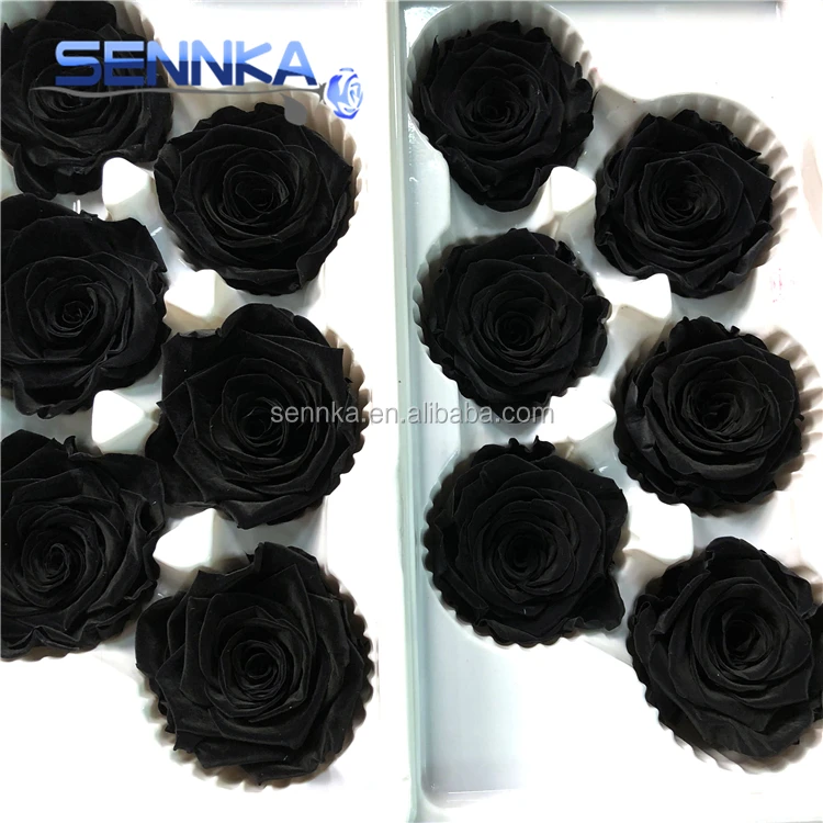 Christmas Smell Fresh Black Rose Real Preserved Flower for Sale