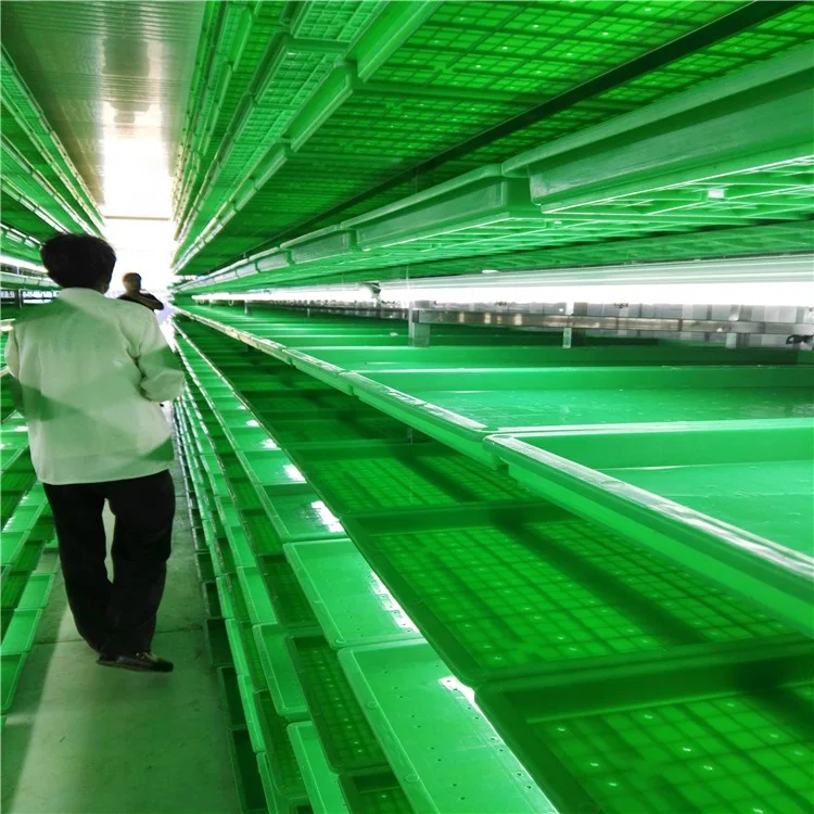 Container  Commercial Hydroponics Fodder System- Hydroponic Growing Systems