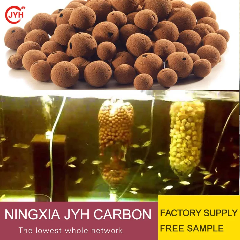 Supply Ceramsite Soilless Culture Hydroponic Plants Flower Home Decor Micro Landscape