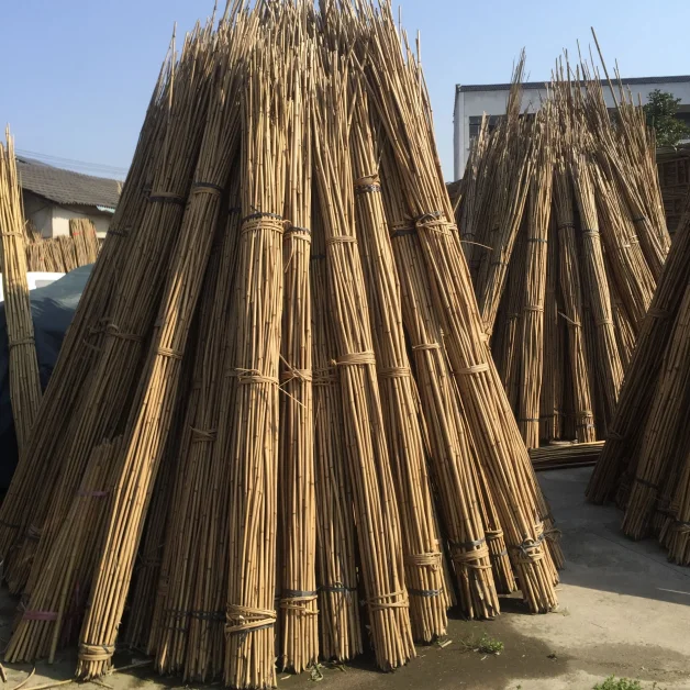 
Bamboo Poles manufactures for garden plant tonkin bamboo cane  (62058495053)