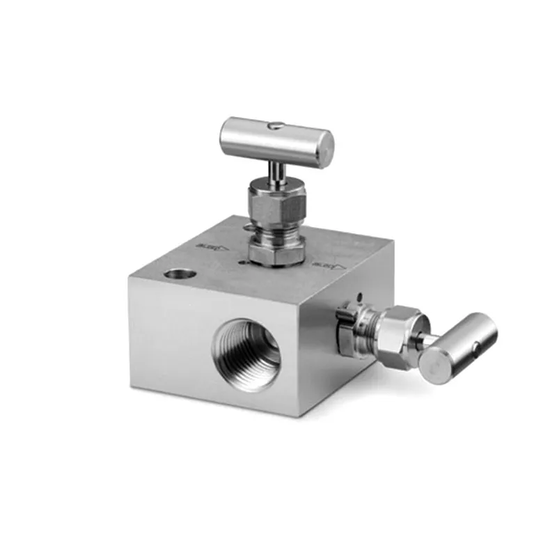 2way manifold 2-port pressure test manifold