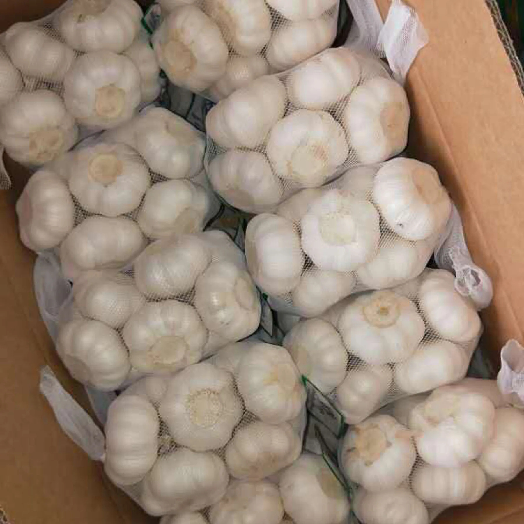 
chinese garlic fresh garlic from China garlic price 