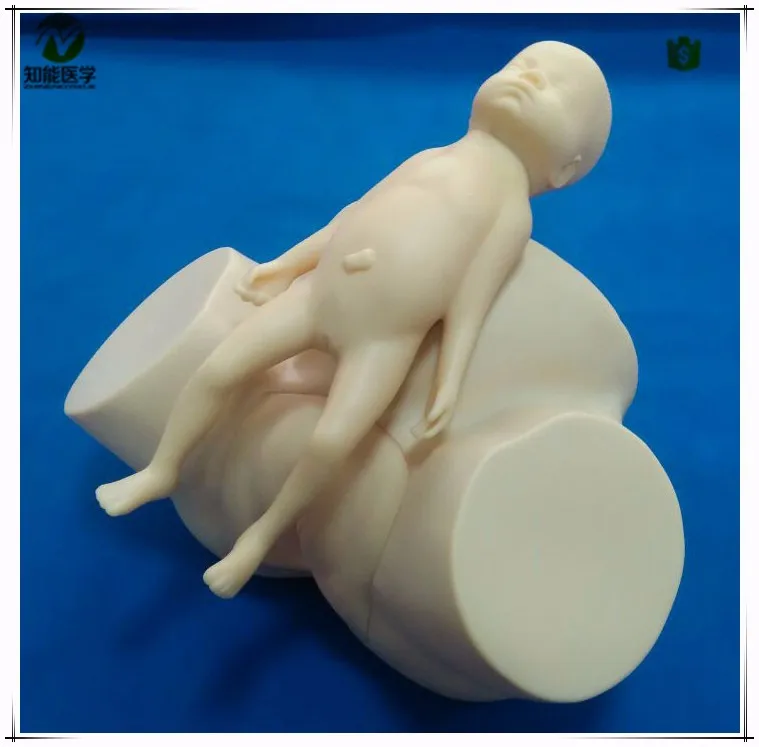 VACUUM DELIVERY OBSTETRICAL MANIKIN