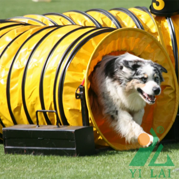 600MM diameter outdoor pet play and training dog tunnel