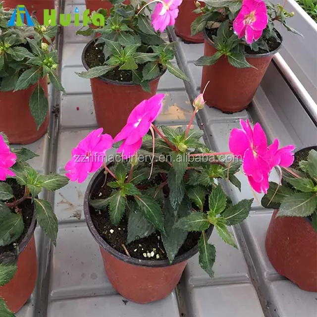 4x8 большой пластиковый поддон для гидропоники