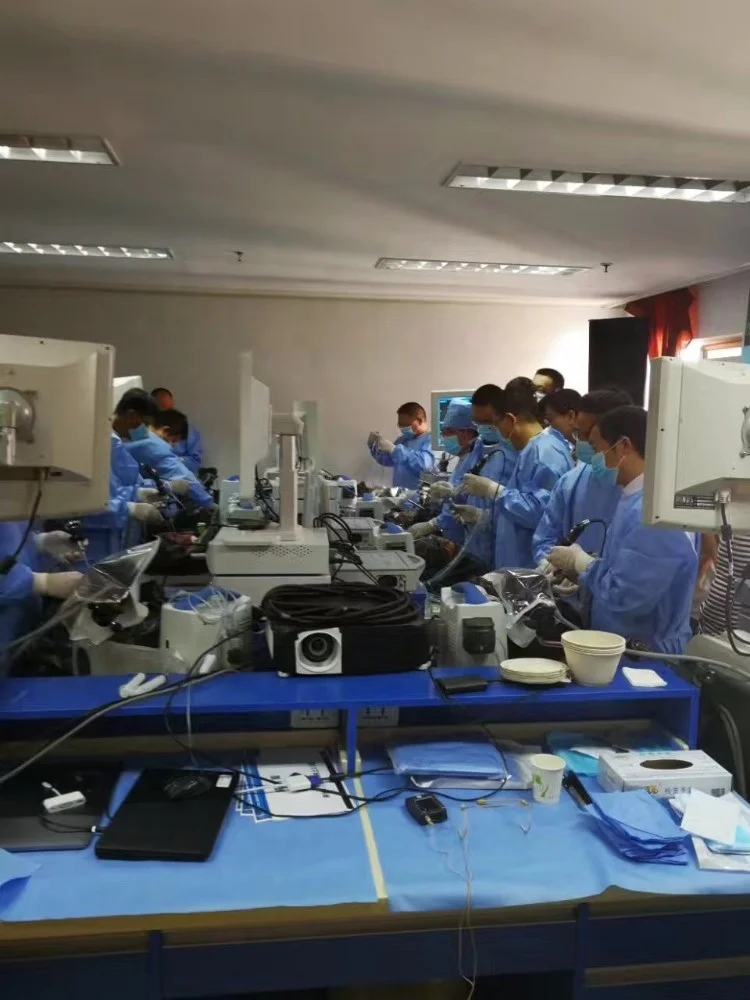 DELON SD card portable CCD camera system delon endoscopy