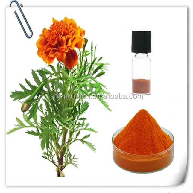 Free of sample for 100% Pure Marigold extract, Lutein powder, high quality Lutein in bulk
