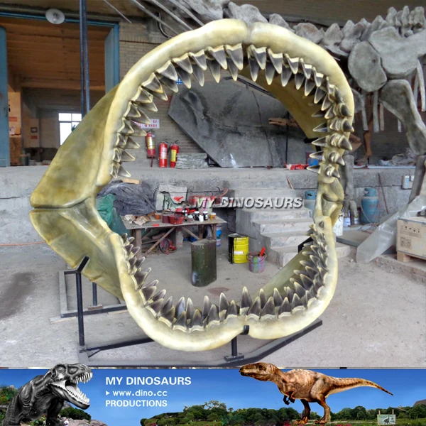 My Dino Fiberglass Fossil Shark Teeth for Museum