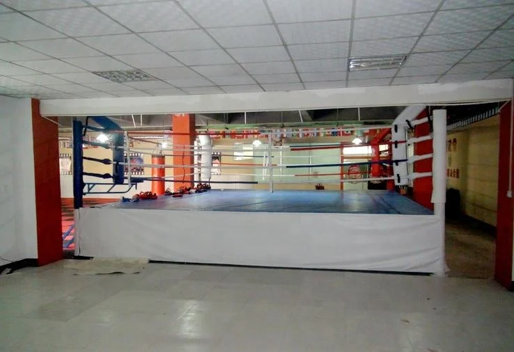 Новое боксерское кольцо международного стандарта на продажу, клетки для ММА, боксерское снаряжение